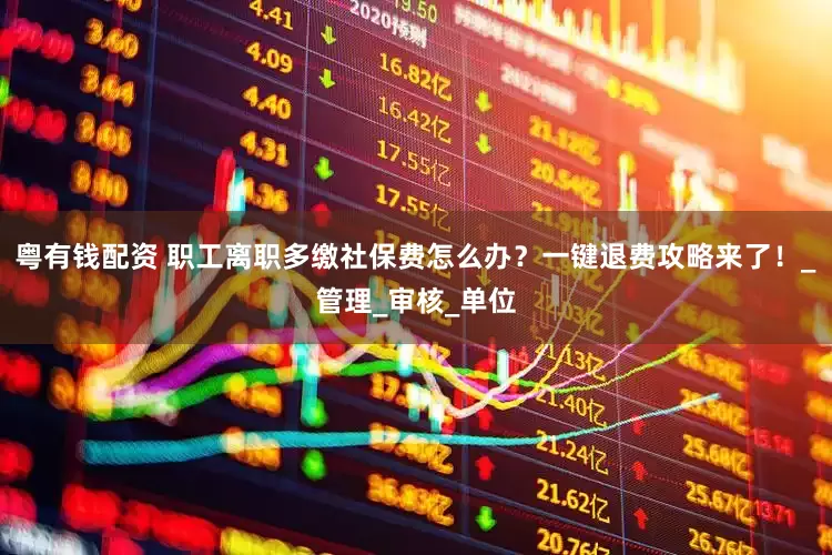 粤有钱配资 职工离职多缴社保费怎么办？一键退费攻略来了！_管理_审核_单位